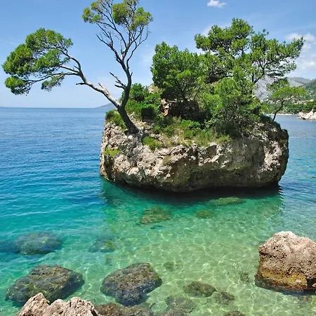 Studio Apartment In Gradac With Sea View, Balcony, Air Conditioning, Wifi 4238-2 * Gradac (Split-Dalmatia)